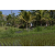 Team 53 / Raid l'Arbre Vert Amazones Bali - VTT