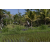 Team 53 / Raid l'Arbre Vert Amazones Bali - VTT