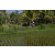 Team 53 / Raid l'Arbre Vert Amazones Bali - VTT