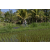 Team 49 / Raid l'Arbre Vert Amazones Bali - VTT