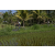 Team 49 / Raid l'Arbre Vert Amazones Bali - VTT