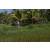 Team 23 / Raid l'Arbre Vert Amazones Bali - VTT
