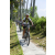 Team 16 / Raid l'Arbre Vert Amazones Bali - VTT