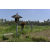 Team 18 / Raid l'Arbre Vert Amazones Bali - VTT