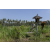 Team 18 / Raid l'Arbre Vert Amazones Bali - VTT
