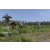 Team 05 / Raid l'Arbre Vert Amazones Bali - VTT