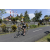 Team 16 / Raid l'Arbre Vert Amazones Bali - VTT