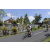 Team 25 / Raid l'Arbre Vert Amazones Bali - VTT