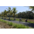 Team 25 / Raid l'Arbre Vert Amazones Bali - VTT