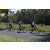 Team 41 / Raid l'Arbre Vert Amazones Bali - VTT