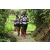 Team 20 / Raid l'Arbre Vert Amazones Bali - Trek