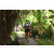 Team 37 / Raid l'Arbre Vert Amazones Bali - Trek
