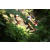 Team 08 / Raid l'Arbre Vert Amazones Bali - Trek