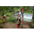 Team 38 / Raid l'Arbre Vert Amazones Bali - Trek