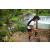 Team 54 / Raid l'Arbre Vert Amazones Bali - Trek