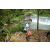 Team 54 / Raid l'Arbre Vert Amazones Bali - Trek