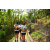 Team 71 / Raid l'Arbre Vert Amazones Bali - Trek