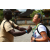Team 70 / Raid l'Arbre Vert Amazones Bali - Trek