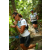 Team 35 / Raid l'Arbre Vert Amazones Bali - Trek