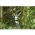 Team 52 / Raid l'Arbre Vert Amazones Bali - Trek