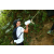 Team 50 / Raid l'Arbre Vert Amazones Bali - Trek