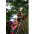 Team 40 / Raid l'Arbre Vert Amazones Bali - Trek