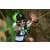 Team 19 / Raid l'Arbre Vert Amazones Bali - Trek