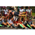 Team 66 / Raid l'Arbre Vert Amazones Bali - Trek