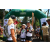 Team 69 / Raid l'Arbre Vert Amazones Bali - Trek
