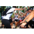 Team 49 / Raid l'Arbre Vert Amazones Bali - Trek