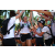 Team 49 / Raid l'Arbre Vert Amazones Bali - Trek