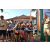 Team 65 / Raid l'Arbre Vert Amazones Bali - Trek