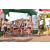 Team 40 / Raid l'Arbre Vert Amazones Bali - Trek