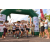 Team 41 / Raid l'Arbre Vert Amazones Bali - Trek