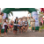 Team 58 / Raid l'Arbre Vert Amazones Bali - Trek