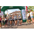Team 18 / Raid l'Arbre Vert Amazones Bali - Trek