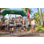 Team 24 / Raid l'Arbre Vert Amazones Bali - Trek
