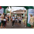 Team 53 / Raid l'Arbre Vert Amazones Bali - Trek