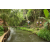 Team 01 / Raid l'Arbre Vert Amazones Bali - Trek