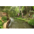 Team 65 / Raid l'Arbre Vert Amazones Bali - Trek
