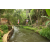 Team 65 / Raid l'Arbre Vert Amazones Bali - Trek