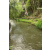Team 66 / Raid l'Arbre Vert Amazones Bali - Trek