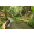 Team 51 / Raid l'Arbre Vert Amazones Bali - Trek