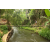 Team 51 / Raid l'Arbre Vert Amazones Bali - Trek