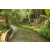 Team 15 / Raid l'Arbre Vert Amazones Bali - Trek