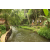 Team 63 / Raid l'Arbre Vert Amazones Bali - Trek