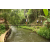 Team 62 / Raid l'Arbre Vert Amazones Bali - Trek