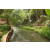 Team 38 / Raid l'Arbre Vert Amazones Bali - Trek