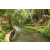 Team 29 / Raid l'Arbre Vert Amazones Bali - Trek