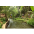 Team 45 / Raid l'Arbre Vert Amazones Bali - Trek